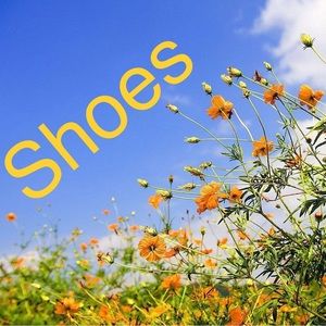 Shoes, Boots and Sandals